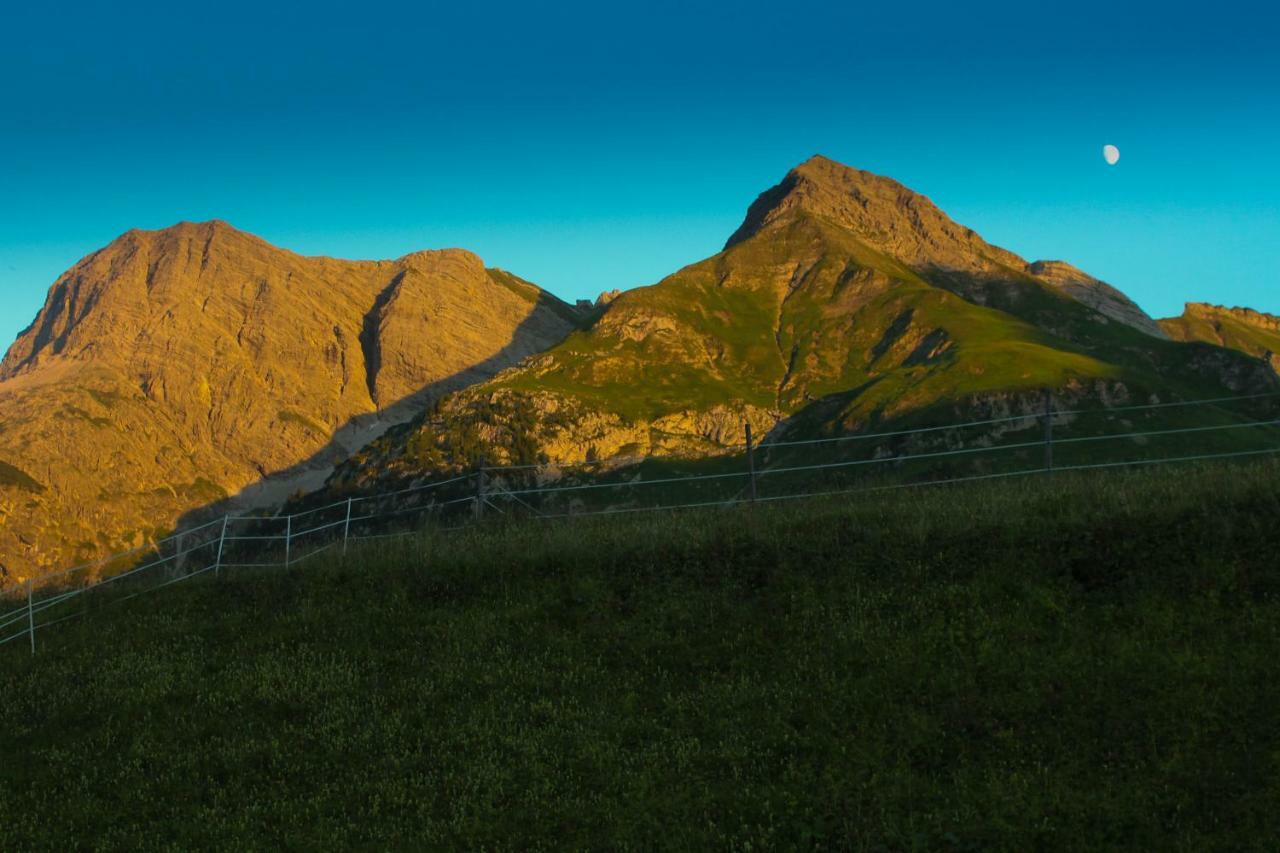 Alpenappartement Bergkoenig Warth  Exteriér fotografie